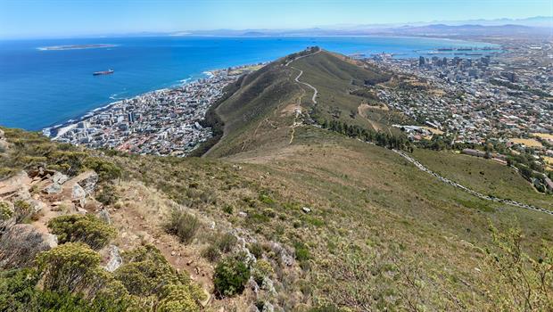 Aussicht auf Kapstadt, welche vom "Signal Hill" in zwei Teile gruppiert ist. Der Aufstieg auf den Lion's Head dauert etwa 2 Stunden.